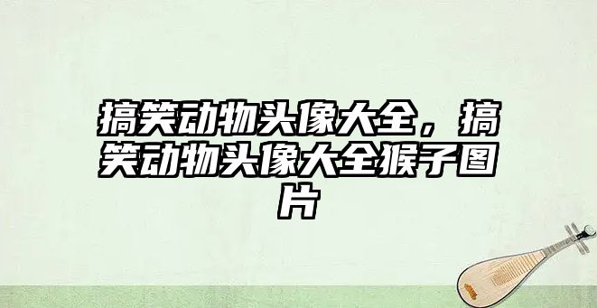 搞笑動物頭像大全，搞笑動物頭像大全猴子圖片