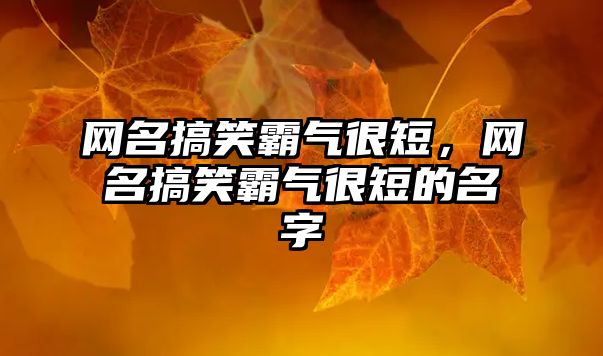 網(wǎng)名搞笑霸氣很短，網(wǎng)名搞笑霸氣很短的名字