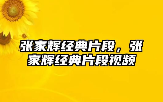 張家輝經(jīng)典片段，張家輝經(jīng)典片段視頻