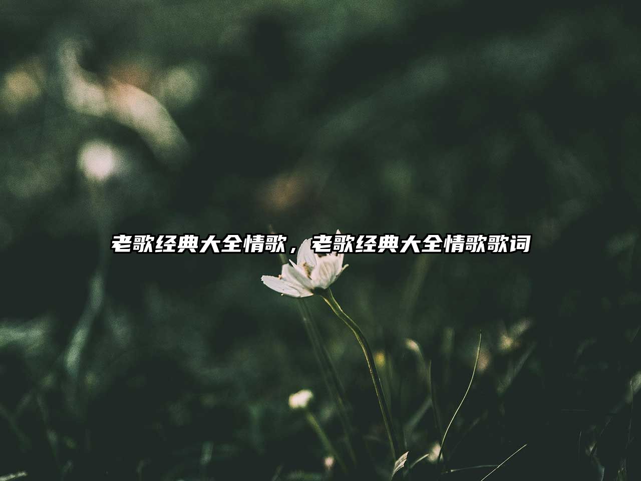 老歌經(jīng)典大全情歌，老歌經(jīng)典大全情歌歌詞